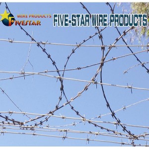Electro galvanized barbed wire
