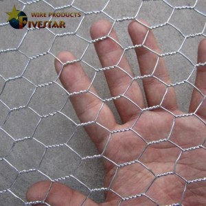 China 3/8 “chicken wire & poultry netting supplier