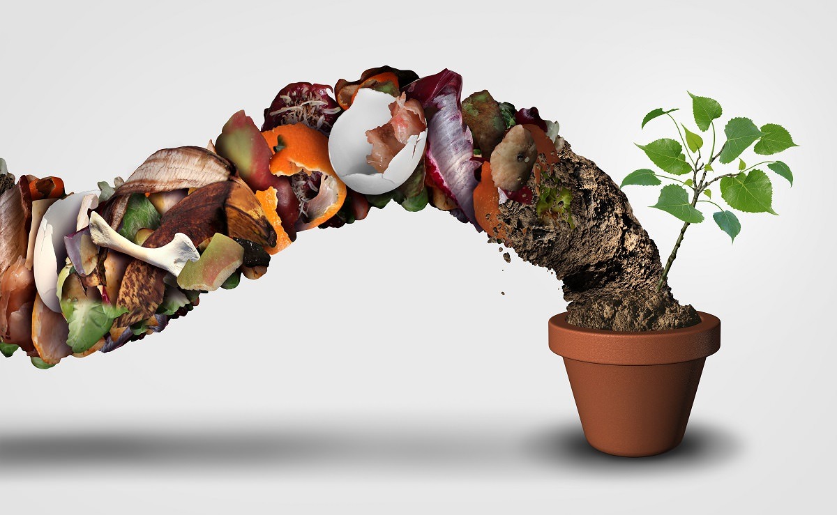 What is compost and how is it made？