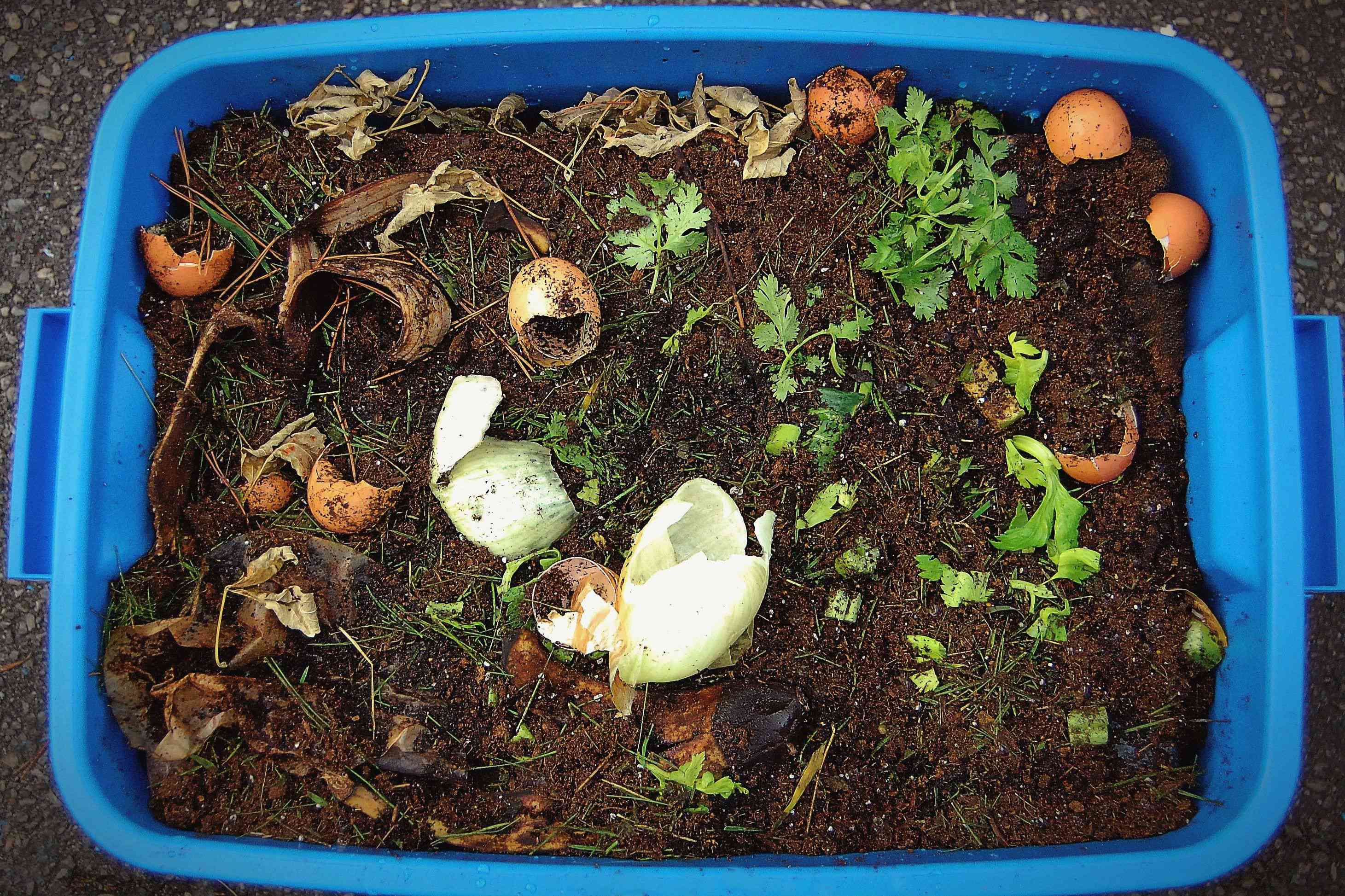 12 materials that cause compost to stink and grow bugs