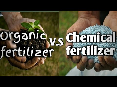 Chemical fertilizer, or organic fertilizer?
