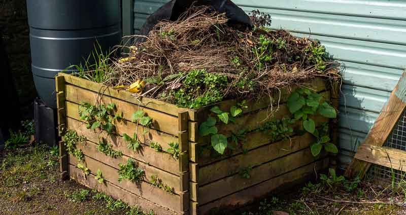How to make compost from weeds
