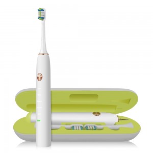 OEM Private Label Sonic Toothbrush Manufacture Offer Automatic Sonic Electric Toothbrush