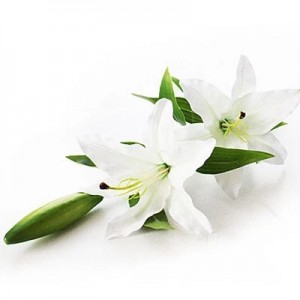 Home/Wedding Decoration High Quality Silk Artificial Lily Easter Flower Fabric Lily Flowers Fake Flower