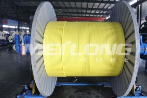 Encapsulated 316L Chemical Injection Line