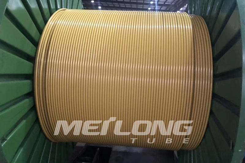 FEP Encapsulated 316L Control Line – MEILONG