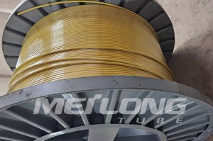 Reasonable price Stainless Steel Capillary Tubing - Santoprene TPV Encapsulated 316L Chemical Injection Line – MEILONG