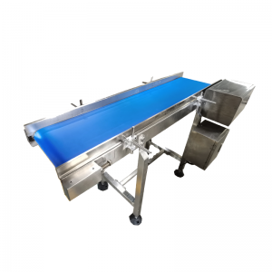 Conveyor for the food industry