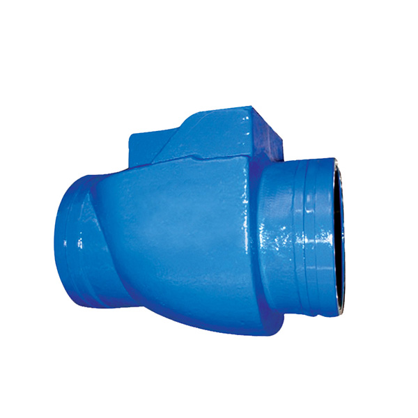 5904 Grooved Ends Swing Check Valve