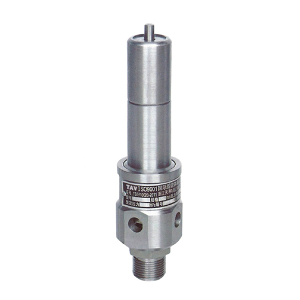 Air compressor safety valve