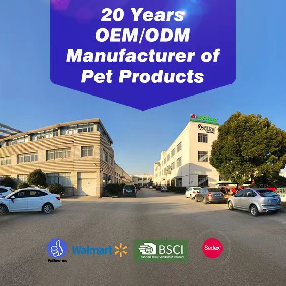 OEM or ODM? Your Guide to Custom Retractable Dog Leash Manufacturing