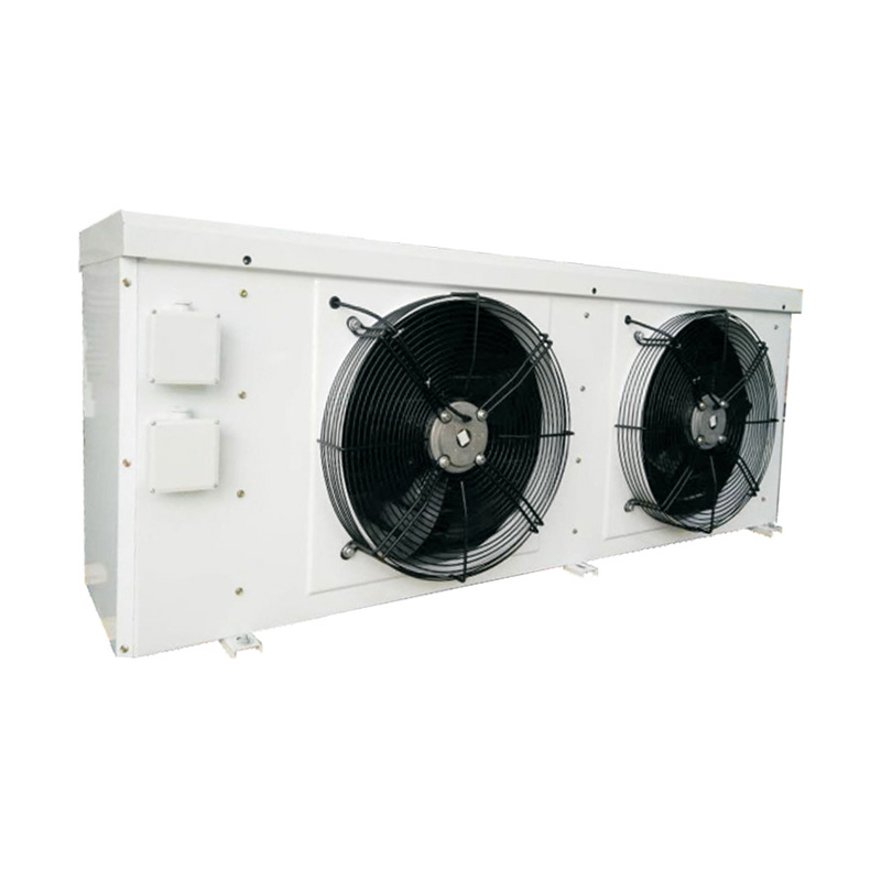 Factory wholesale Refrigeration Evaporator - DJ30 30㎡ cold storage low temperature evaporator –  Cooler