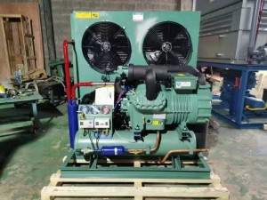 Two stage condensing unit for cold storage blast freezer