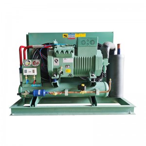 Manufacturer for Walk In Cooler Refrigeration Unit - 4TCS-12.2-40P 12HP CONDENSER UNIT  –  Cooler