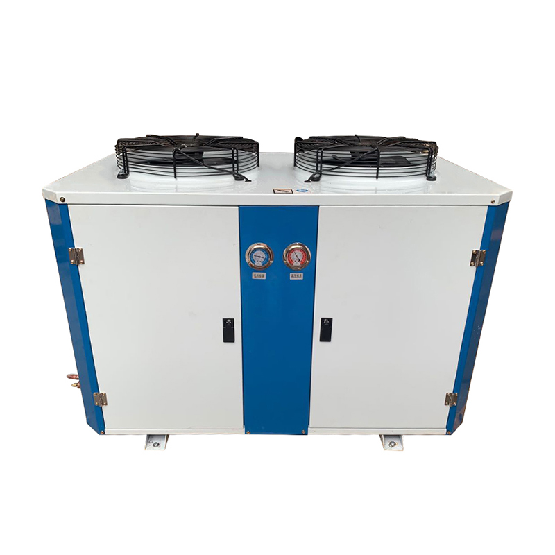 Chinese wholesale Monoblock Unit - Medium Lower Temperature Top Discharge Condensing Unit –  Cooler