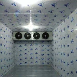DJ85 85㎡ cold storage low temperature evaporator