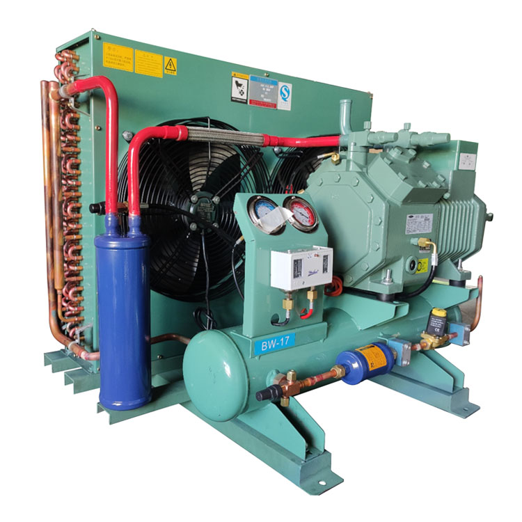 China 2021 New Style Cold Room Compressor - 4DC-5.2-40P 5HP REFRIGERATION  COMPRESSOR – Cooler manufacturers and suppliers