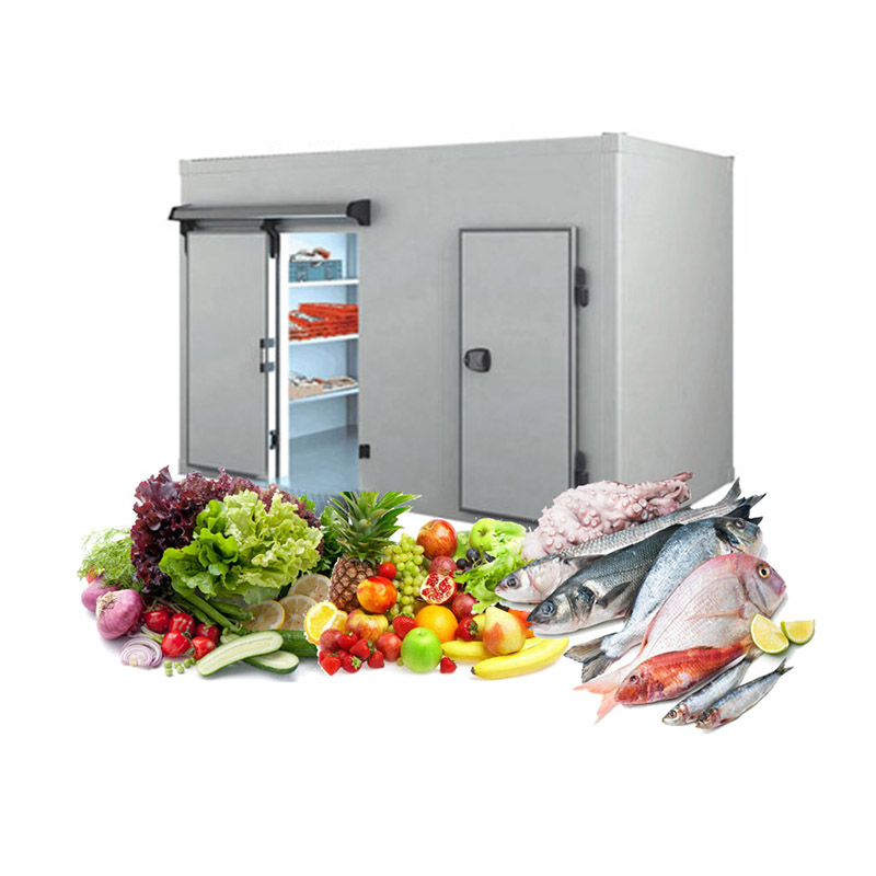 Custom Designs Small Butchery Freezer Storage Cold Room For Meat Storage Featured Image