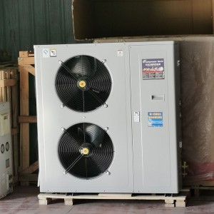 Box typer condenser unit for walk in freezer