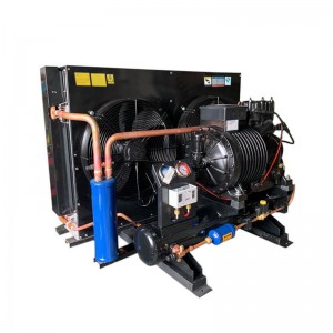 Professional Factory for China Bitzer 2 Stages Compressor Blast Freezer Condensing Unit