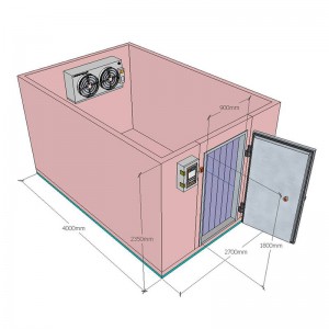 Supply OEM/ODM China Refrigerator and Freezers/20FT/40FT Cooler/Freezer/Cold Room Online Sale