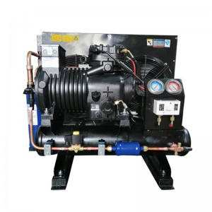 Factory directly supply Low Temperature Condensing Unit - CA-0300-TFD-200 3HP CONDENSING UNIT   –  Cooler