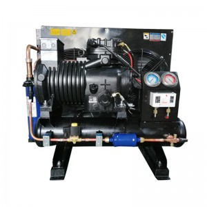 Reliable Supplier Cooling Unit For Walk In Cooler - CA-0500-TFD-200 5HP CONDENSING UNIT –  Cooler