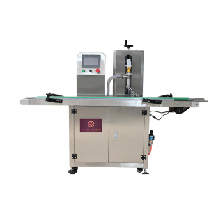 Automatic Single or Double Filling Nozzles Paste Filling Machine