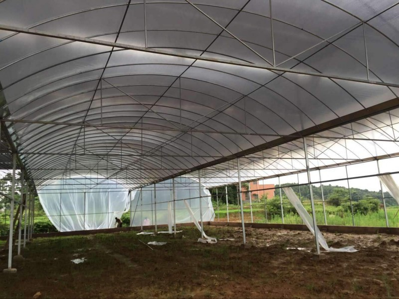 Specific structure of film greenhouse