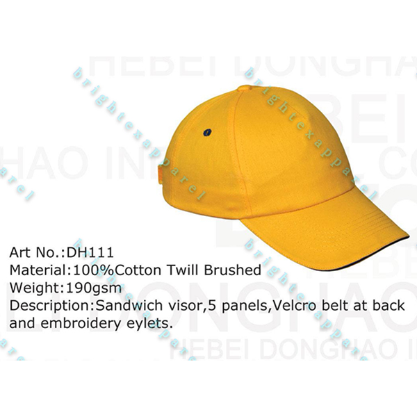CAPS-DH111 Featured Image