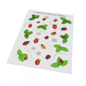 Hot Sale 12 Sheets Cartoon Decoration Tranparent Calendar Diary Book Sticker Planner