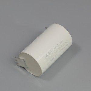 OEM/ODM Factory Low Capacitance Loss Fim Capacitor - Metalized film capacitor for AC filtering  – CRE