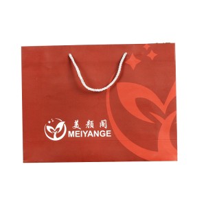Factory Directly supply Red Wine Paper Bags Paper Shopping Bag for Red Wine Gift Packaging Wholesale Good Price