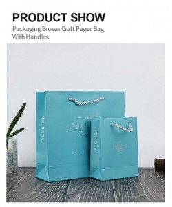 100% Original Twist Handle Custom Recyclable Kraft Paper Printing Packaging Gift Bag