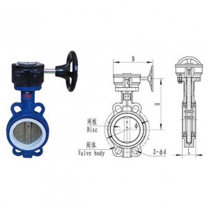 Ordinary Discount Compression Ball Valve - Pair of centerline butterfly valves D371X-10/10Q/16/16Q –  Cangrun Pipeline
