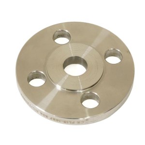 ANSI Standard F304/F321/F316 Stainless Steel Pn16 Forged RF Flange