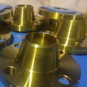 Professional Wholesale OEM BS Stainless Steel Carbon Steel A105 Forged Welding Neck 150lbs Forged Flanges
