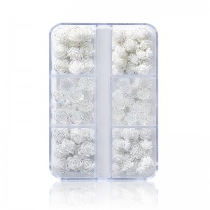 Set di combinazione di diamanti per manicure per decorazioni tridimensionali di fiori bianchi.