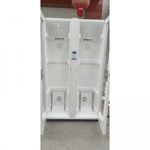 အရောင်းရဆုံး Flexible and rigid Endoscope Storage Cabinet-2 တံခါး
