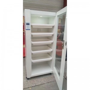 Hot-sale Flexible and rigid Endoscope Storage Cabinet-2 door