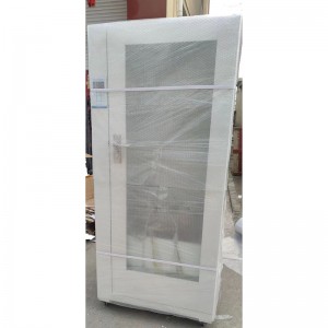 Hot-sale Flexible and rigid Endoscope Repono Cabinet-2 door