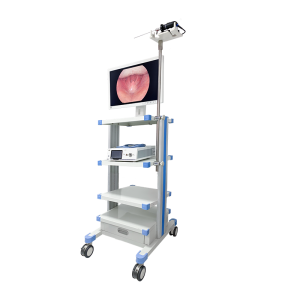 Cost-effective 1080P rigid Hysteroscope with camera system