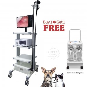 Top 1 hotsale HD resolution video veterinary gastroscope-Flexible Endoscope