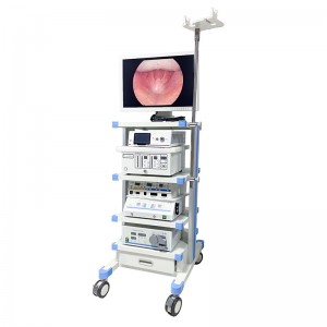 Customized  Hd 1080P Thoracoscopy Surgical System -Rigid Endoscope Tower
