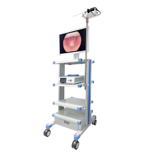 Pri-efikas 1080P rijid Cystoscope ak sistèm kamera