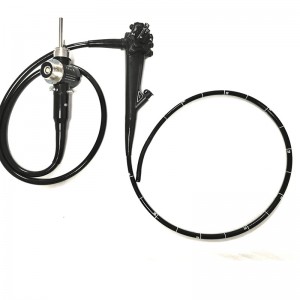 अनुकूलन योग्य ईएमवी-600 वीडियो गैस्ट्रोस्कोप- सहायक जल चैनल के साथ एचडी विकल्प