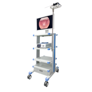 Customisable  HD Rigid Bronchoscope with 1080P camera system