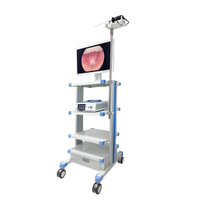 Cost-Effective 1080P Rigid Resectoscope With Camera System