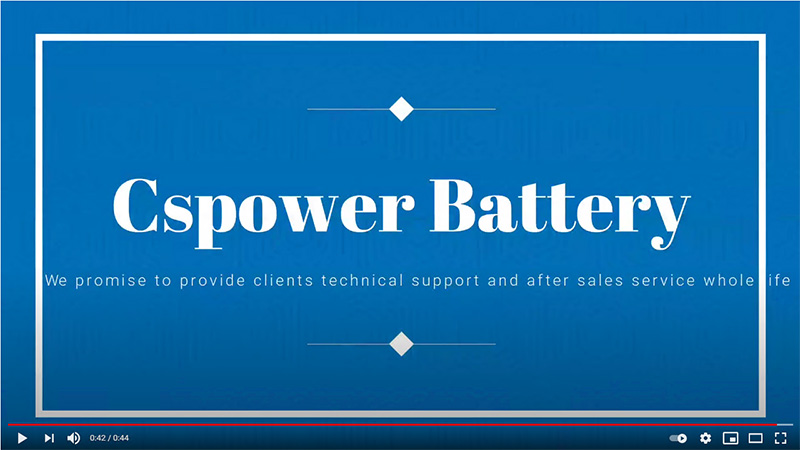 Video: CSPower Batteries Packed by pallets for sea shipping