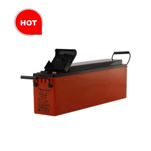 FT Front Terminal AGM Battery